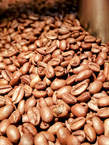 Nicaragua Gesha - Light Roast